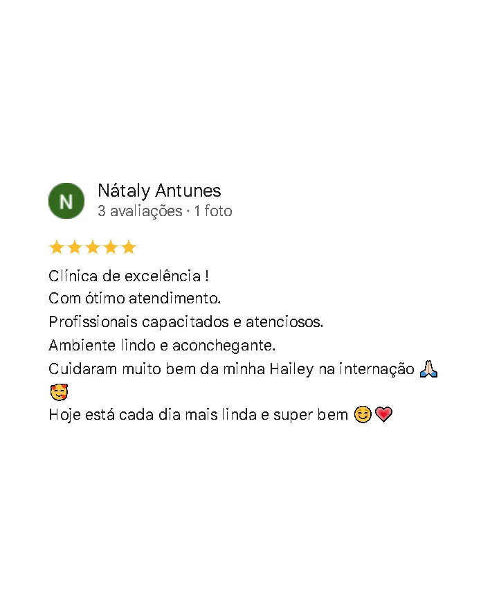 Avaliação de cliente no Google sobre a Monte Líbano