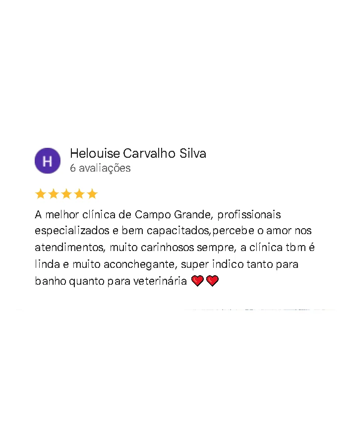 Avaliação de cliente no Google sobre a Monte Líbano