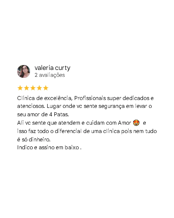 Avaliação de cliente no Google sobre a Monte Líbano