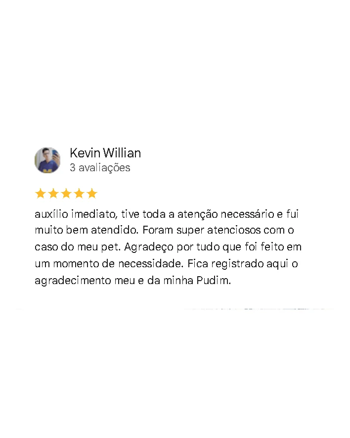 Avaliação de cliente no Google sobre a Monte Líbano
