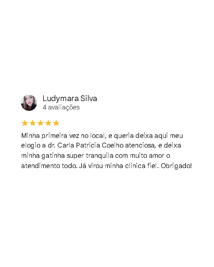 Avaliação de cliente no Google sobre a Monte Líbano