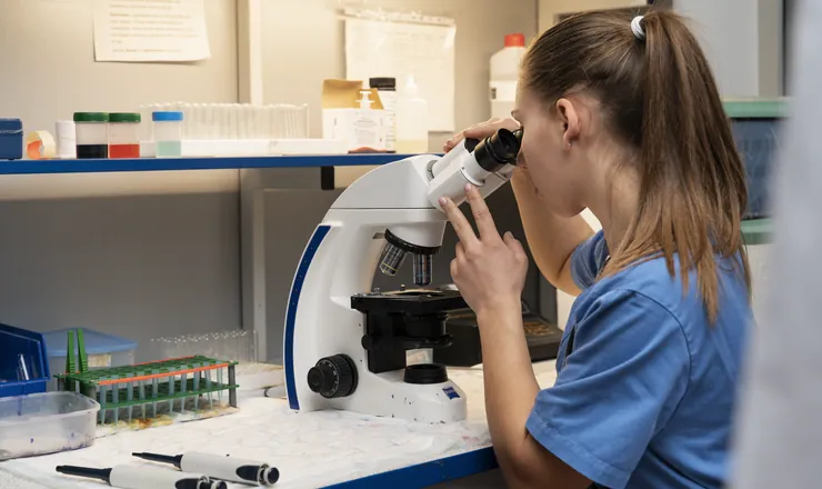 Veterinária analisando um exame no microscópio