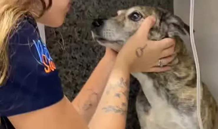Veterinária da Monte Líbano com uma paciente no dia da alta