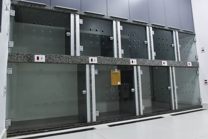 Baias da internação da Monte Líbano